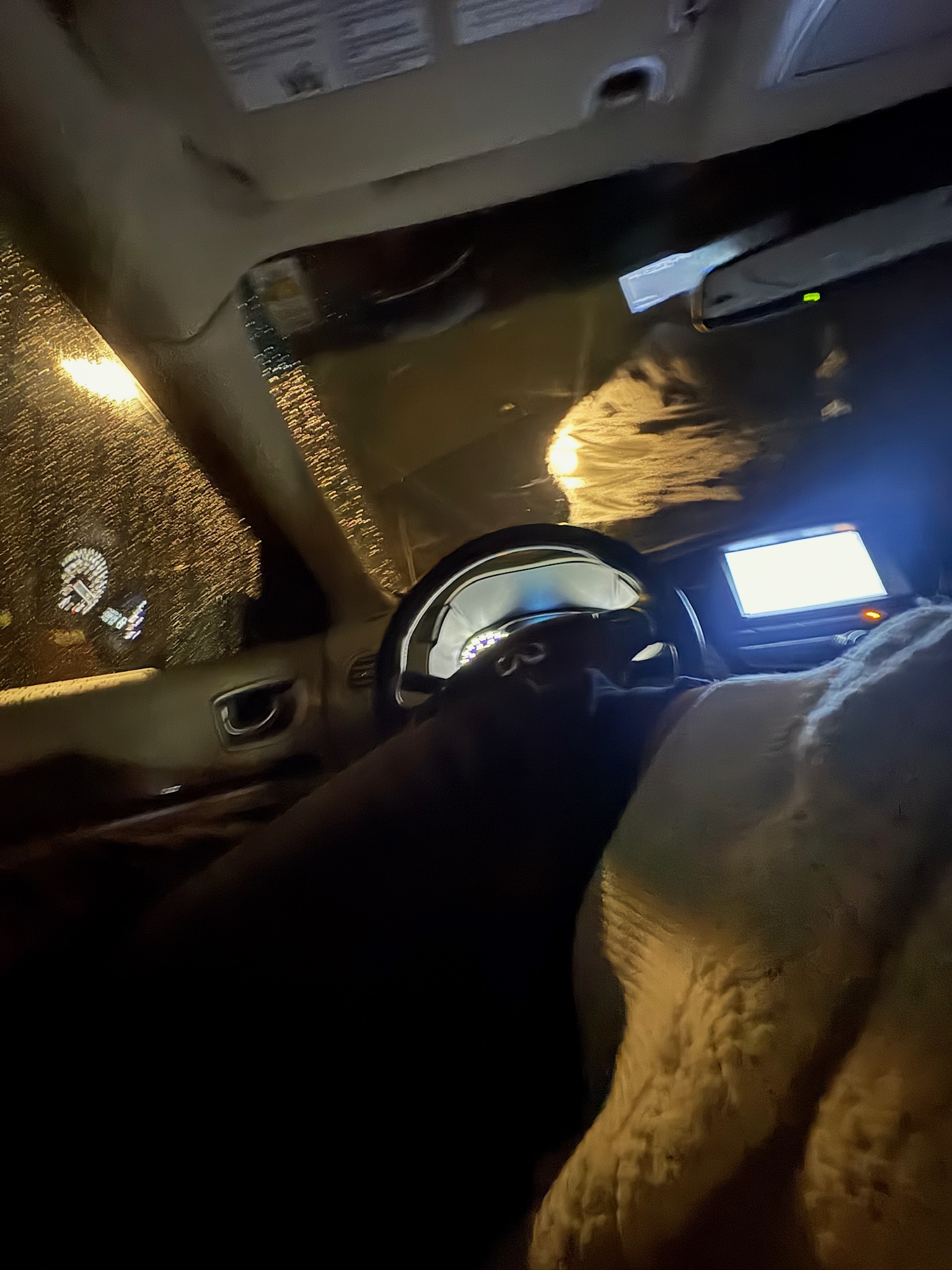 Areeba laying on my lap